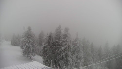 Lalíky vrcholová stanice