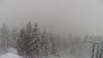 Snímek 23.11.2025 v 09:45