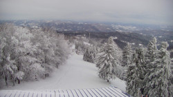 Lalíky vrcholová stanice