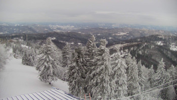 Snímek    24.11.2025 v 07:45