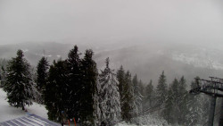 Lalíky vrcholová stanice