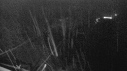 Lalíky vrcholová stanice