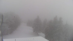 Lalíky vrcholová stanice