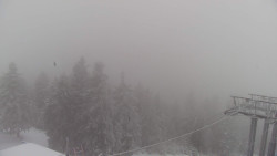 Lalíky vrcholová stanice