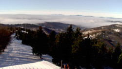 Lalíky vrcholová stanice