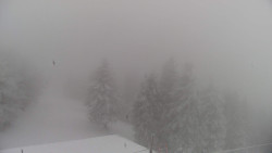 Lalíky vrcholová stanice