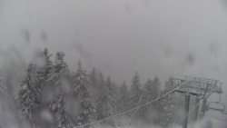 Lalíky vrcholová stanice