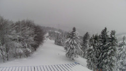 Lalíky vrcholová stanice