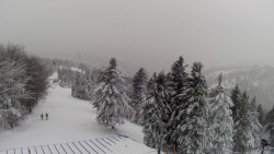 Lalíky vrcholová stanice