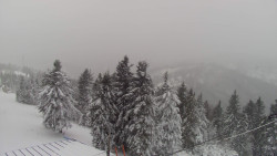 Lalíky vrcholová stanice