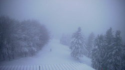 Lalíky vrcholová stanice