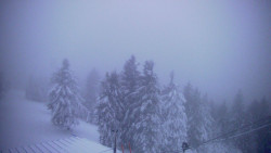 Lalíky vrcholová stanice