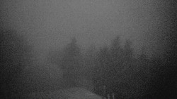 Lalíky vrcholová stanice