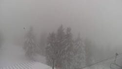 Lalíky vrcholová stanice