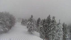 Lalíky vrcholová stanice