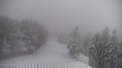 Lalíky vrcholová stanice