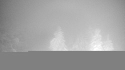 Lalíky vrcholová stanice