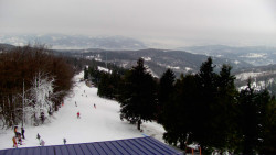 Lalíky vrcholová stanice