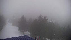 Lalíky vrcholová stanice