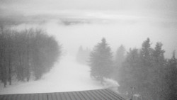 Lalíky vrcholová stanice