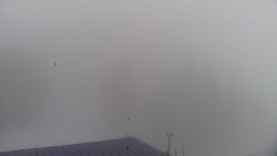 Lalíky vrcholová stanice