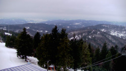 Lalíky vrcholová stanice