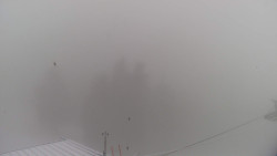 Lalíky vrcholová stanice