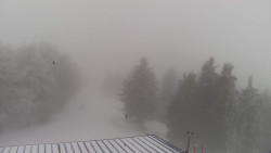 Lalíky vrcholová stanice