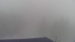 Lalíky vrcholová stanice