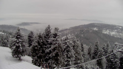 Lalíky vrcholová stanice