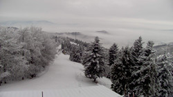 Lalíky vrcholová stanice