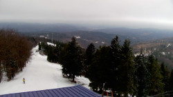 Lalíky vrcholová stanice