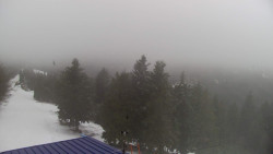 Lalíky vrcholová stanice