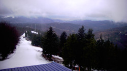 Lalíky vrcholová stanice