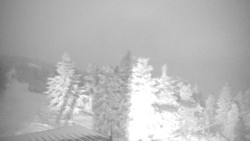 Lalíky vrcholová stanice