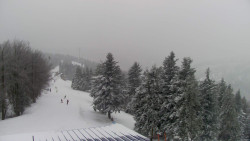 Lalíky vrcholová stanice