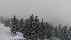 Lalíky vrcholová stanice