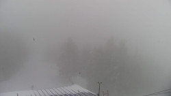 Lalíky vrcholová stanice