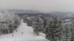 Lalíky vrcholová stanice