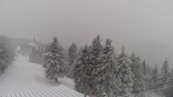 Lalíky vrcholová stanice