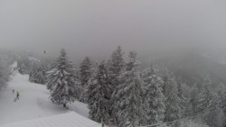 Lalíky vrcholová stanice