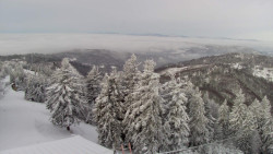 Lalíky vrcholová stanice