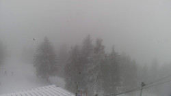 Lalíky vrcholová stanice