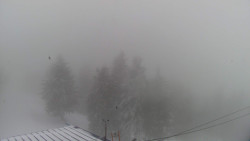 Lalíky vrcholová stanice