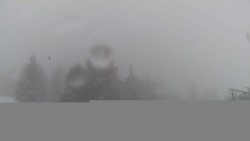 Lalíky vrcholová stanice