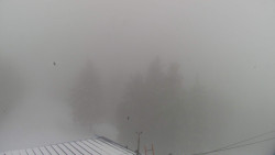 Lalíky vrcholová stanice