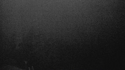 Lalíky vrcholová stanice