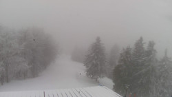 Lalíky vrcholová stanice