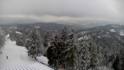 Lalíky vrcholová stanice