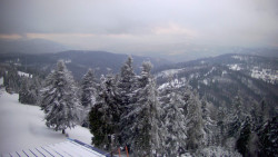 Lalíky vrcholová stanice